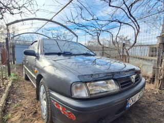 Nissan Primera foto 4