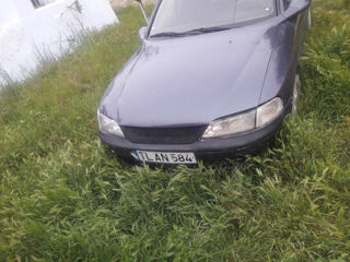 Opel Vectra foto 7