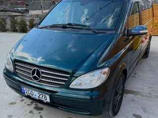 Mercedes Viano