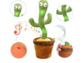 Cactus - dansează, cântă, repeta după  tine!