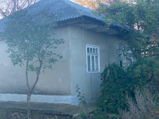 Дом с времянкой в 7 км от Бельц casa Corlateni foto 5