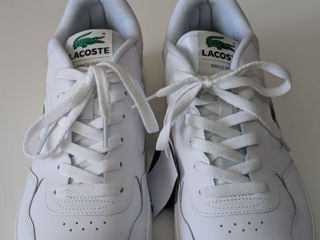 Lacoste 43 foto 5