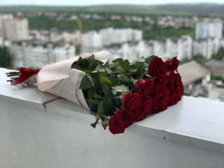 Buchete de trandafiri moldovenesti! foto 1