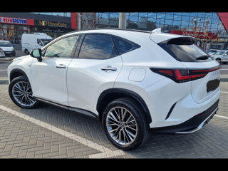 Lexus NX Series foto 4