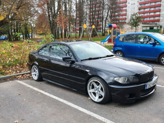 Rondell 0021 фото 7