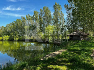 Negociabil .Teren agricol 90 ha , cu lac ( iaz ) spre vinzare . foto 1