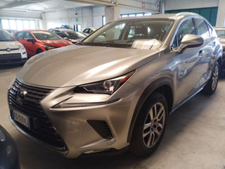 Lexus NX Series