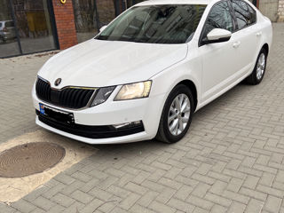 Skoda Octavia фото 1