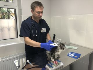 Clinica veterinara "vetasist" foto 6