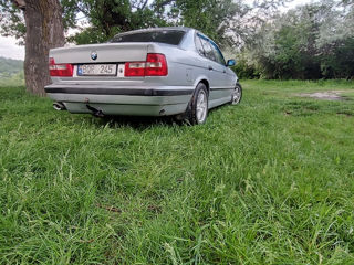 BMW 5 Series foto 6