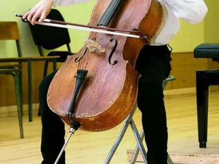 Cumpar violoncel. Куплю виолончели foto 3