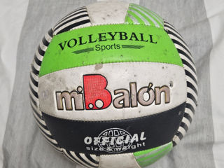 Minge volei compania MIBALON OFICIAL