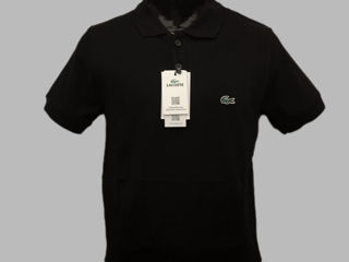 Lacoste foto 1