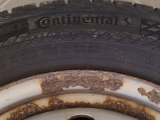 Continental 205/65/16C