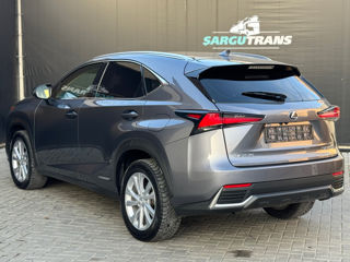 Lexus NX Series foto 6