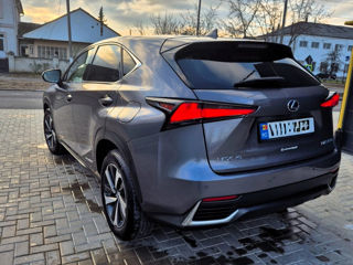 Lexus NX Series foto 4