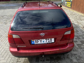 Nissan Primera foto 2