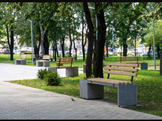 Bancă din beton cu lemn, cu spetează și ghiveci / Бетонная скамейка с деревом, со спинкой и горшком