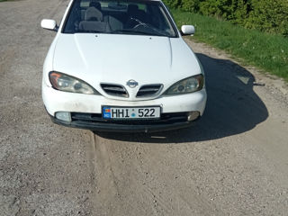 Nissan Primera foto 3