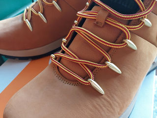 Timberland foto 6