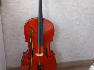 Violoncel