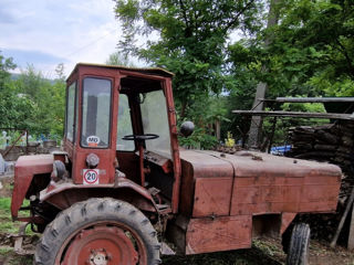 Tractor T16 Спец Техника. foto 3