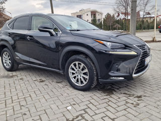 Lexus NX Series foto 4