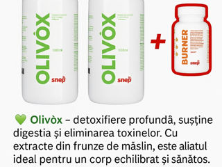  Olivox promotie! foto 2