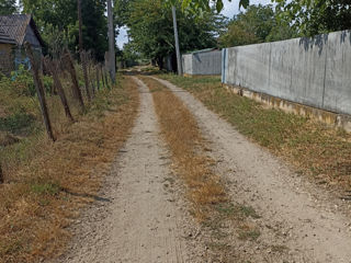 Пригород, в  2 км от Вадулуй-Воды участок большой в 13 соток foto 5