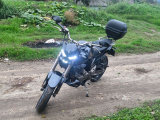 Geon Stinger 250 фото 1