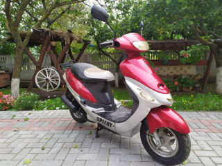 Reax Buffalo 49cc New foto 2