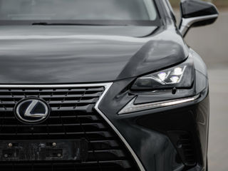 Lexus NX Series foto 9