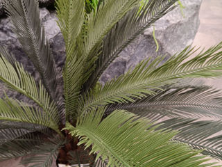 Plante decorative artificiale / Perete din plante artificiale foto 5