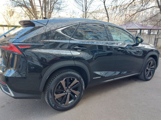 Lexus NX Series foto 3