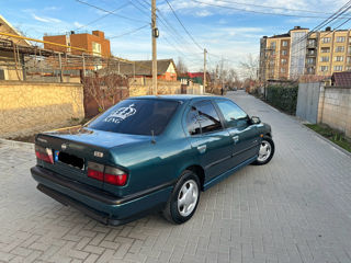 Nissan Primera foto 4