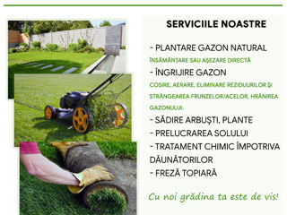 Top garden ! Servicii de grădinărit foto 3