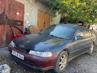 Honda Accord Rover 618 620 623 foto 2