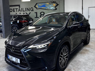 Lexus NX Series