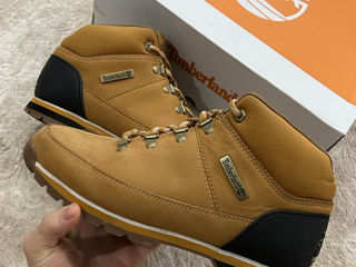 Timberland