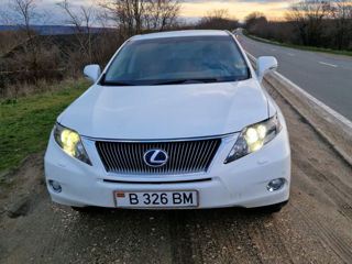 Lexus RX Series