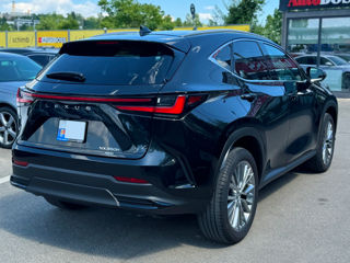 Lexus NX Series foto 5