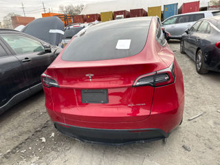 Tesla Model Y foto 2