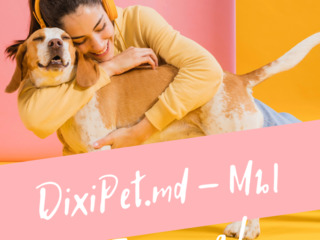 Dixipet.md - Интернет - Зоомагазин  для домашних питомцев с доставкой по Кишиневу