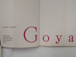 Vasile Florea. Goya. (рум. яз.) foto 3