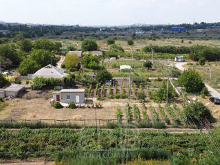 Teren pentru construcție, 10 ari + grădină cu viță de vie! foto 3