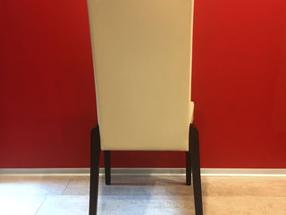 Новые стулья итальянской фирмы Connubia Calligaris foto 6