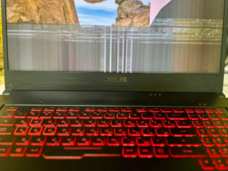 Vind Asus! foto 3