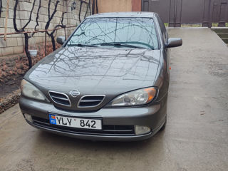 Nissan Primera foto 5