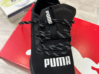 Puma foto 2