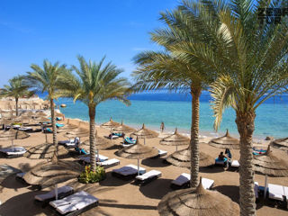Egipt, Sharm El Sheikh - Sunrise Montemare Resort Grand Select 5* foto 5